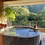 箱根吟遊 武蔵野本館 - 