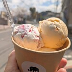 雪文 - トリプル（ニューヨークチーズケーキ ＆ ハルノイチゴ ＆ ラムレーズン）¥750