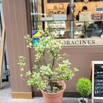 アシッドラシーヌ - 