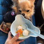 NEWシクロCafe 蒼きパパイヤの香り - 