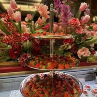 スプレンディード - 