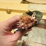 髙橋 謙太郎 - ネギトロ