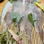 呼子活イカ 博多巻き串 燈 - 