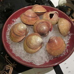 日本料理 TOBIUME - 鳥貝の殻付きは希少