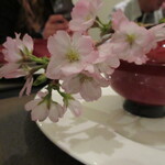 日本料理 TOBIUME - 生桜の演出が素敵