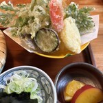 御手打ちそば やま本 - 沢山の種類の天麩羅