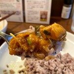 初台スパイス食堂 和魂印才たんどーる - 