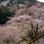 離れのやど 星ヶ山 - 眺望2