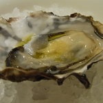 ビストロ・ラ・クッチーナ - 2009/12/30：前菜①「厚岸産生ガキ」