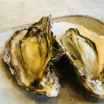 イザカヤキツネ - 