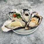 イザカヤキツネ - 