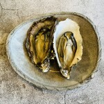 イザカヤキツネ - 