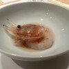 ミモザ - 