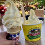 Dole Plantation - 