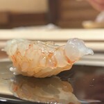 鮨みなと - 牡丹海老