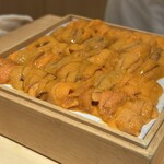 鮨みなと - 雲丹（くもたん）達