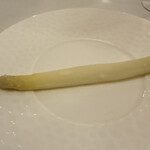 ドンナセルバティカ - 