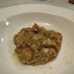 ドンナセルバティカ - 