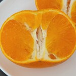 JA愛知西 産直広場 - 