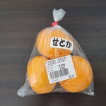 JA愛知西 産直広場 - 