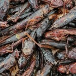 JA愛知西 産直広場 - 