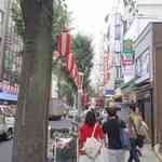 Kagurazaka Wain Sakaba - 平坦な台地の上に到着し、その後は楽々と進んでいき