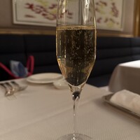 スプレンディード - 