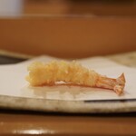 すしと天ぷら 坂本 - 天然車海老の天ぷら480円