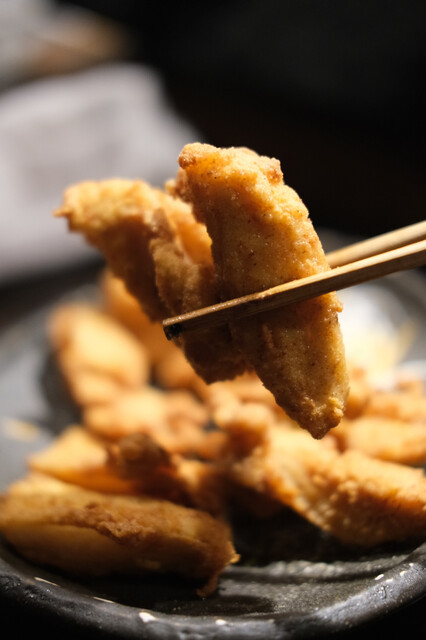 Tori Sho Hoizumi photo 3