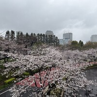 ハルヤマシタ 東京本店 - 