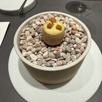 CIRPAS - 