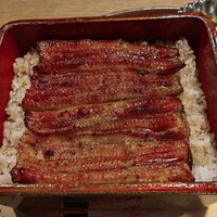 うなぎ 目白ぞろ芽 - 