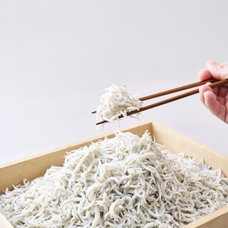 しらす食堂 じゃこ屋 七代目 山利_2