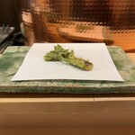 天白 - 独活の新芽(長野県産)の天麩羅