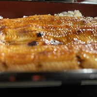 うなぎ秋本 -  うなぎ秋本 -