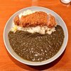 ジャパニーズ スパイス カリー ワッカ