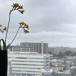 京懐石 美濃吉 - 