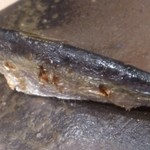 鮨　縁 - ままかり