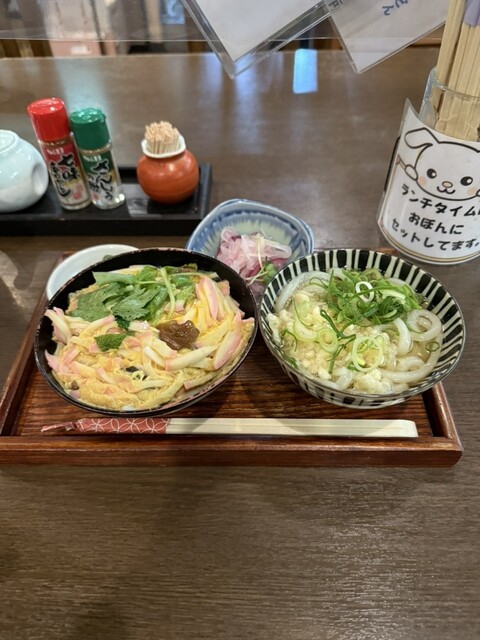 Shiratama Ya - Kitahama/Udon (Wheat noodles) | Tabelog