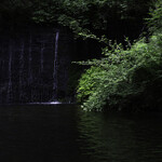 vase - The River Behind the Restaurant