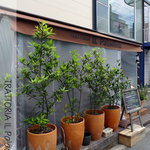 イルパラディーノ　店の外観　Photo by あなたのかわりに・・・