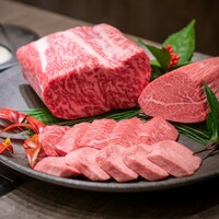 USHIGORO S. SHINJUKU - 