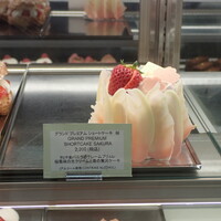 フィオレンティーナ - 