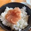 博多もつ鍋 やまや 飯田橋サクラテラス店