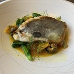 ターヴォラカルダ・オオノ - 