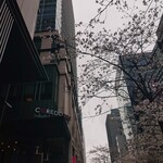 稲庭うどんとめし 金子半之助 コレド室町店 - 