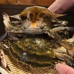 蜀郷香 - 