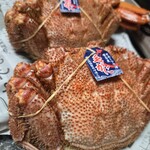 常呂漁業協同組合直売所 - 毛ガニ