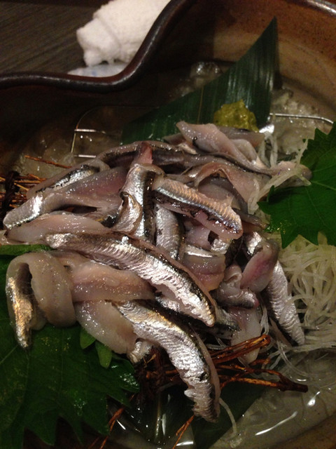 しこいわし 刺身 しこいわし 刺身