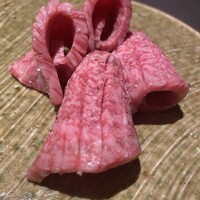 焼肉 展 - 